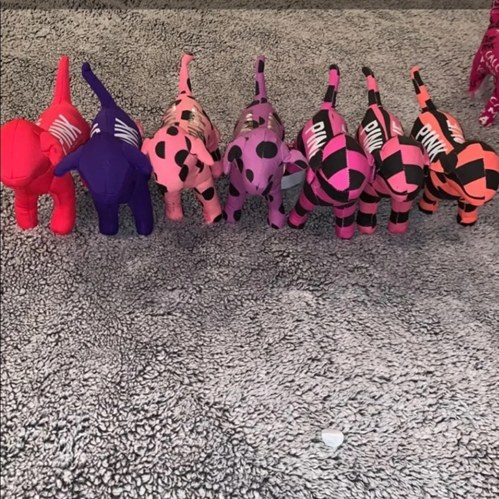 VS PINK Dogs (7)